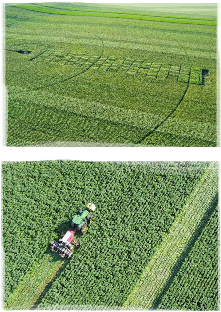 Agriculture de conservation et de précision